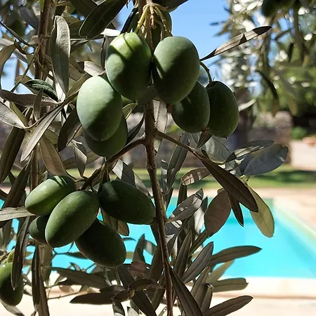Nacalino Alloggio per agriturismo